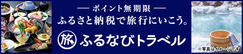 ポイント無期限 ふるさと納税で旅行に行こう。ふるなびトラベル